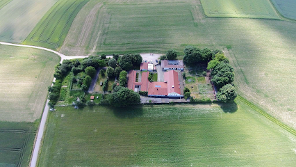 Tierheim-Heinzelwinkl - Eching 1 AF1QipP0MAxNrPDrjZ8eeRpz2W yNYZlutj vupLKRZVw426 h240 k no