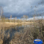 Tierheim am See – Eisenhüttenstadt