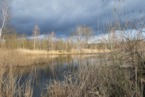 Tierheim am See – Eisenhüttenstadt