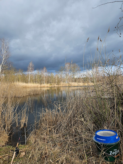 Tierheim am See - Eisenhüttenstadt 1 AF1QipP3461pMFKwUyir4TpmLByy2agjbKDtEzVPuqxUw408 h544 k no