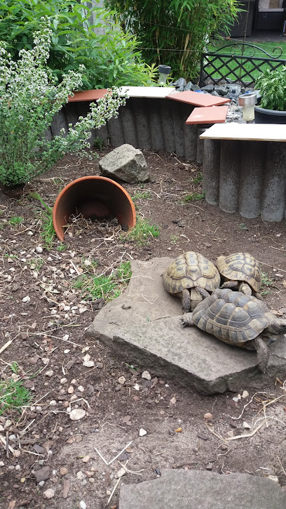 AF1QipP6OjnCox6iuqHleIC2UiJSuzYArybn87ws w5Dw408 h725 k no