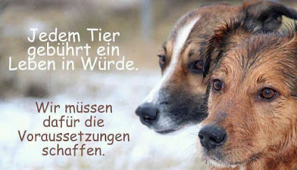 Tierheim Passau (Tierschutzbewegung Ostbayern u. OÖ e.V.) - Passau 1 AF1QipPNackWKKvycIJux5o4sSEWXKJvfCSAn uKTjtGw417 h240 k no