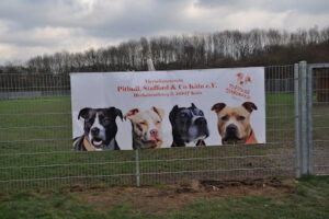 Tierschutzverein Pitbull, Stafford & Co. e.V. - Köln 14 Tierschutzverein Pitbull, Stafford & Co. e.V. – Köln