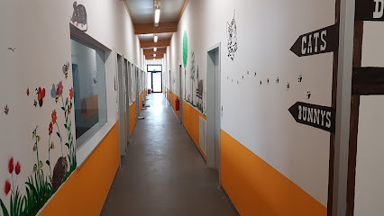 Tierheim Haßberge - Knetzgau 1 AF1QipPXWQV ymrPJx9cKv83bm8aAJnA2iZlK1H7hMT1w426 h240 k no
