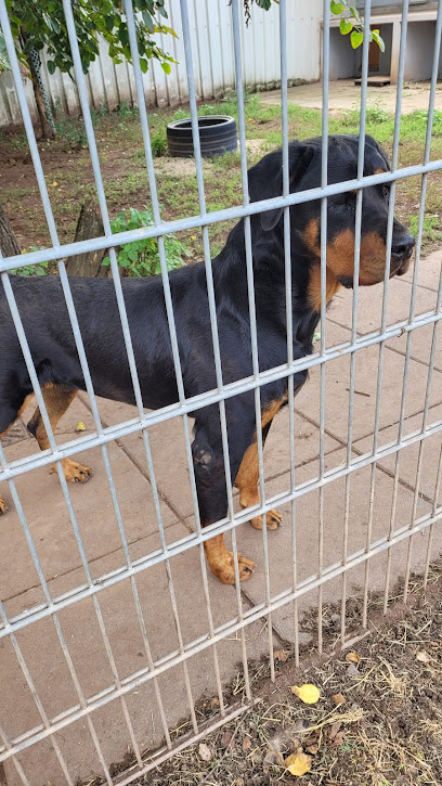 AF1QipPfA5UUYa5ot7aM3Cn6aZsDwe1W6M3L7LepudWew408 h725 k no