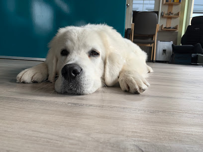 AF1QipPgCtWSBOuRYOBz29Z6hL739Q6ry5aer41cP9Kdw408 h306 k no