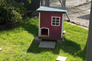 Tierheim und Tierschutzverein für den Kreis Heinsberg e.V. – Heinsberg