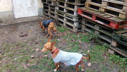 Tierheim Schkortitz - Grimma 1 AF1QipPrW9gpGsL7qE1aYVzaAwr2YYqPkGXTIfi4b88tw423 h240 k no