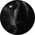 Lun „Luuni“ Moonwolf