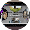 Hunde & Katzen Sitting Bastorf Hunde & Katzen Sitting Bastorf