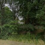 Tierschutzverein und Tierheim für den Landkreis Rotenburg e.V. – Rotenburg (Wümme)