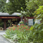 Tierschutzverein Pforzheim e.V. – Pforzheim