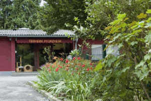 Tierschutzverein Pforzheim e.V. - Pforzheim 13 Tierschutzverein Pforzheim e.V. – Pforzheim