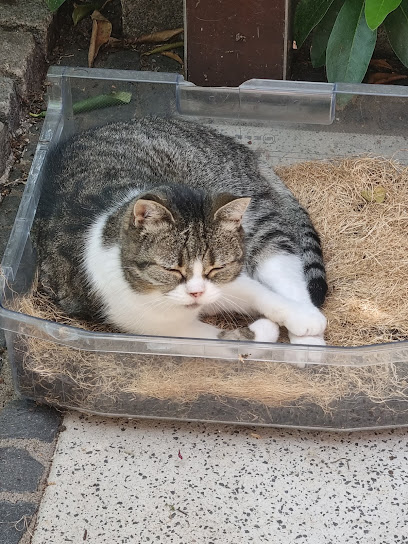 Tierfreunde Bottrop e.V. im Deutschen Tierschutzbund - Bottrop 1 AF1QipMhXwNKNB1cJO8wMkvsulq5jYMIxSVzmcH32Xvsw408 h544 k no