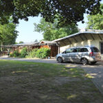 Tierhelfer Ingelheim e.V. – Ingelheim am Rhein