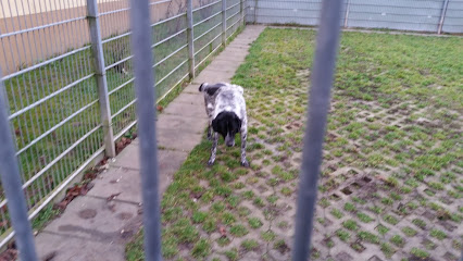 Tierheim Unternesselbach - Neustadt an der Aisch 1 AF1QipMnyzNKUANXkXOwMKMDZH4RDnD e1HnxeEXgP Iw426 h240 k no