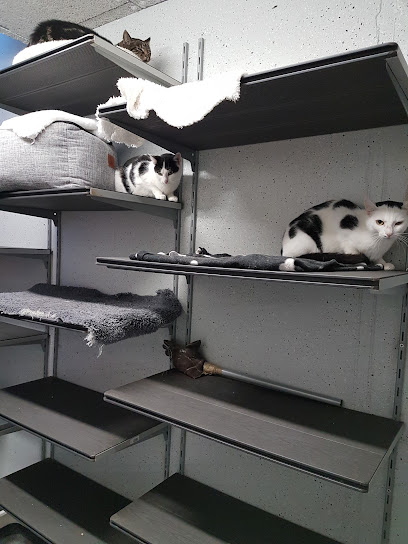 Tierheim Ottersweier - Ottersweier 1 AF1QipN1q5hGt0hVrXhoBeifYsQNf9mXS m6IRiCPGUkw408 h544 k no