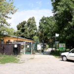aktion tier Tierheim Zossen – Zossen