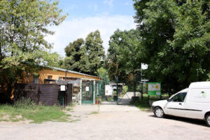 aktion tier Tierheim Zossen – Zossen