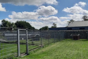 Tierheim Tensbüttel – Tensbüttel-Röst