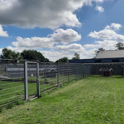 Tierheim Tensbüttel - Tensbüttel-Röst 1 AF1QipN4gryRp6nzw4phezATowlaDgPtdLTniWnfyrX w408 h408 k no