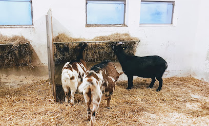 Tierschutzorganisation Gut Morhard - Königsbrunn 1 AF1QipN8ompKXEs4uT0T3m elwc3CWlHZw 7jhy1MZ6 w408 h245 k no