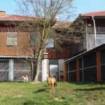 Tierschutzverein Offenbach – Offenbach am Main