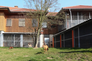 Tierschutzverein Offenbach – Offenbach am Main