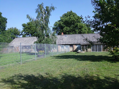 Tiere in Not Nordvorpommern e.V. - Franzburg 1 AF1QipNHkK YyZ8kL3p01HltvLkPHVCyqDpr1MVi P0aw408 h306 k no