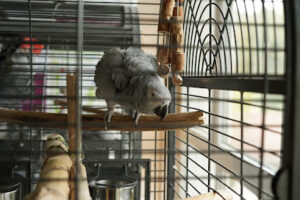 Tierschutzverein Stuttgart und Umgebung e.V. - Stuttgart 9 Tierschutzverein Stuttgart und Umgebung e.V. – Stuttgart