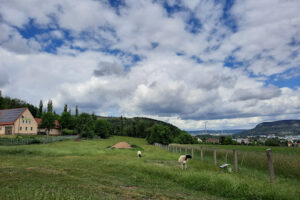 Tierheim Jena des Tierheimvereins Jena e.V. – Jena