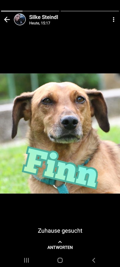 AF1QipNZCqb7gt8C CyCyWRzS7V1ISPIB9am1eJJOMIw408 h906 k no