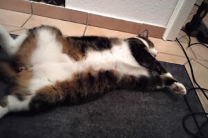 Naturtierheim – Ostsee e.V. – Saal