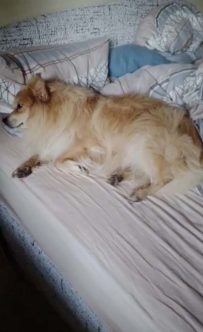 AF1QipOHpFd3SFZLufQ vUnX0urENspz4N CmOhB29p4w408 h666 k no