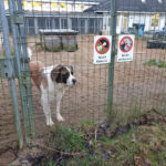 Tierheim Uhlenkrog – Kiel