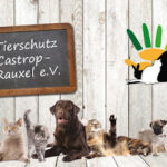 Tierschutz Castrop-Rauxel e.V. Tierheim – Castrop-Rauxel