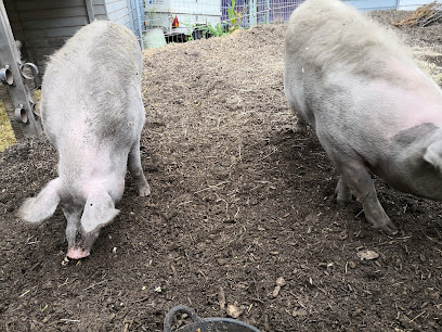 AF1QipOcTyBSdTuHSxsbLp100PSPLpxlDQ84lmnbuj8w408 h306 k no