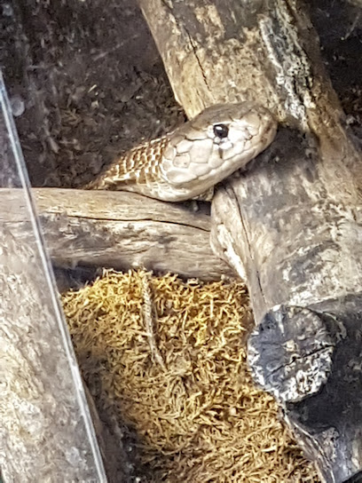 AF1QipOcd2ubGaw pCrdGBH x2MmAXyIlzfSwj 4owyFw408 h544 k no