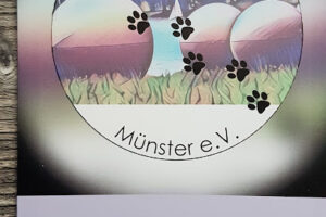 Aaseepfoten Münster e.V. – Münster