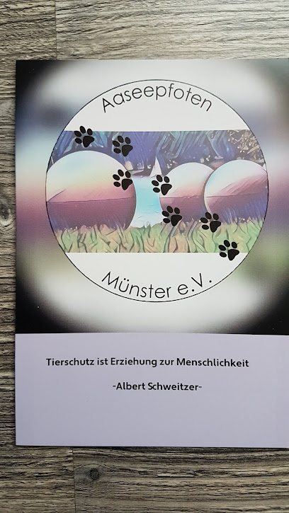 AF1QipOfSGRgIWhH4 4BsHZG2RqYb7Av2LphyIuOLnBjw408 h725 k no