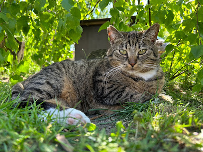 AF1QipOgo7dbxAdjPsZbGYT O4viopNB4uZ arKv7v9xw408 h306 k no