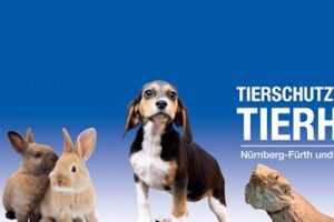 Tierheim Nürnberg – Nürnberg