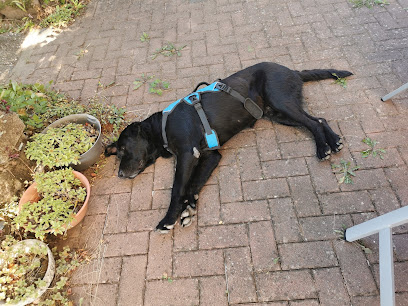 AF1QipP6Qh fmdsSutXc5e504l688cudT8 wTzUyMfQuw408 h306 k no