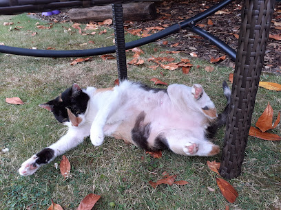 AF1QipP6gfiqTIPAivXBie7Ikg8OBLqt67ix5XyuyRzmw408 h306 k no