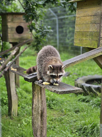 Tierschutzzentrum Weidefeld des Deutschen Tierschutzbundes e.V. - Kappeln 1 AF1QipPLVRf SwtlO5QOvWMhEgnr7bfEarGR9jYUP5t7w408 h544 k no