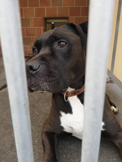 Clara Vahrenholz Tierheim - Düsseldorf 1 AF1QipPWFHMLkMfCP0bxwt5d2QOGvLrhVTRJgYH9gt nw408 h544 k no