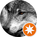 Johannes Wolf Johannes Wolf