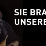 VIER PFOTEN – Stiftung für Tierschutz – Hamburg