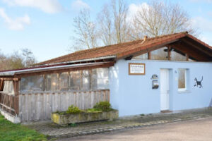 Katzenhaus Bad Windsheim – Bad Windsheim