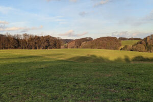 Tierheim Rhein Berg – Kürten